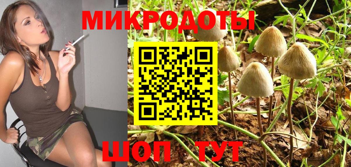 Галлюциногенные грибы мицелий  Галлюциногенные грибы ЛСД  Вход с VPN  Нефтекумск 