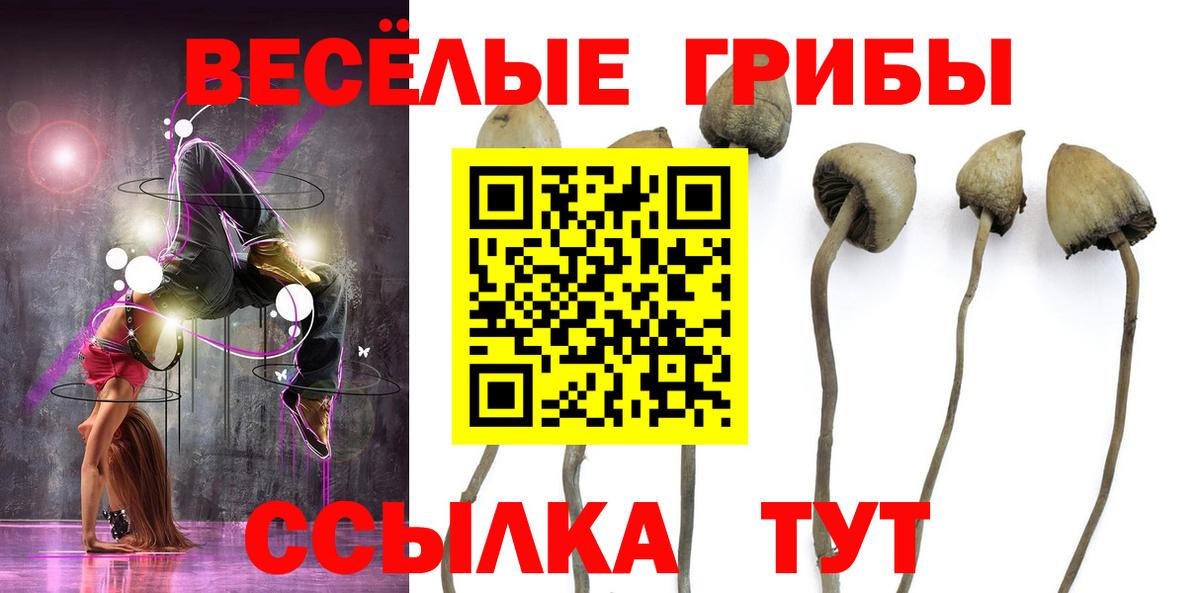 Псилоцибиновые грибы ЛСД Нефтекумск